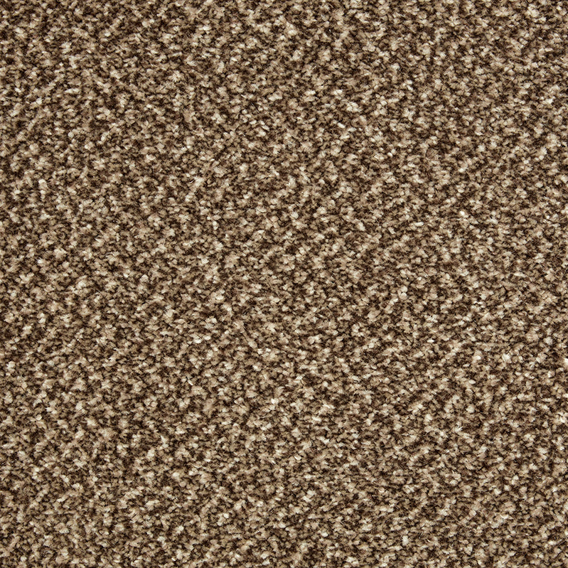 Primo Tweeds Brownstone Carpet