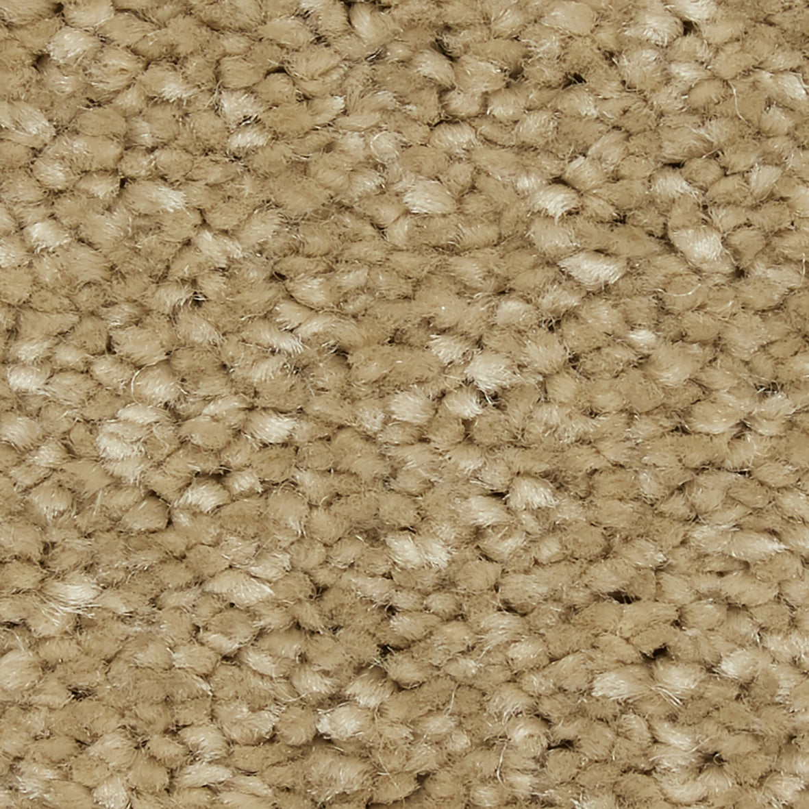 Riva SB Wattle Carpet