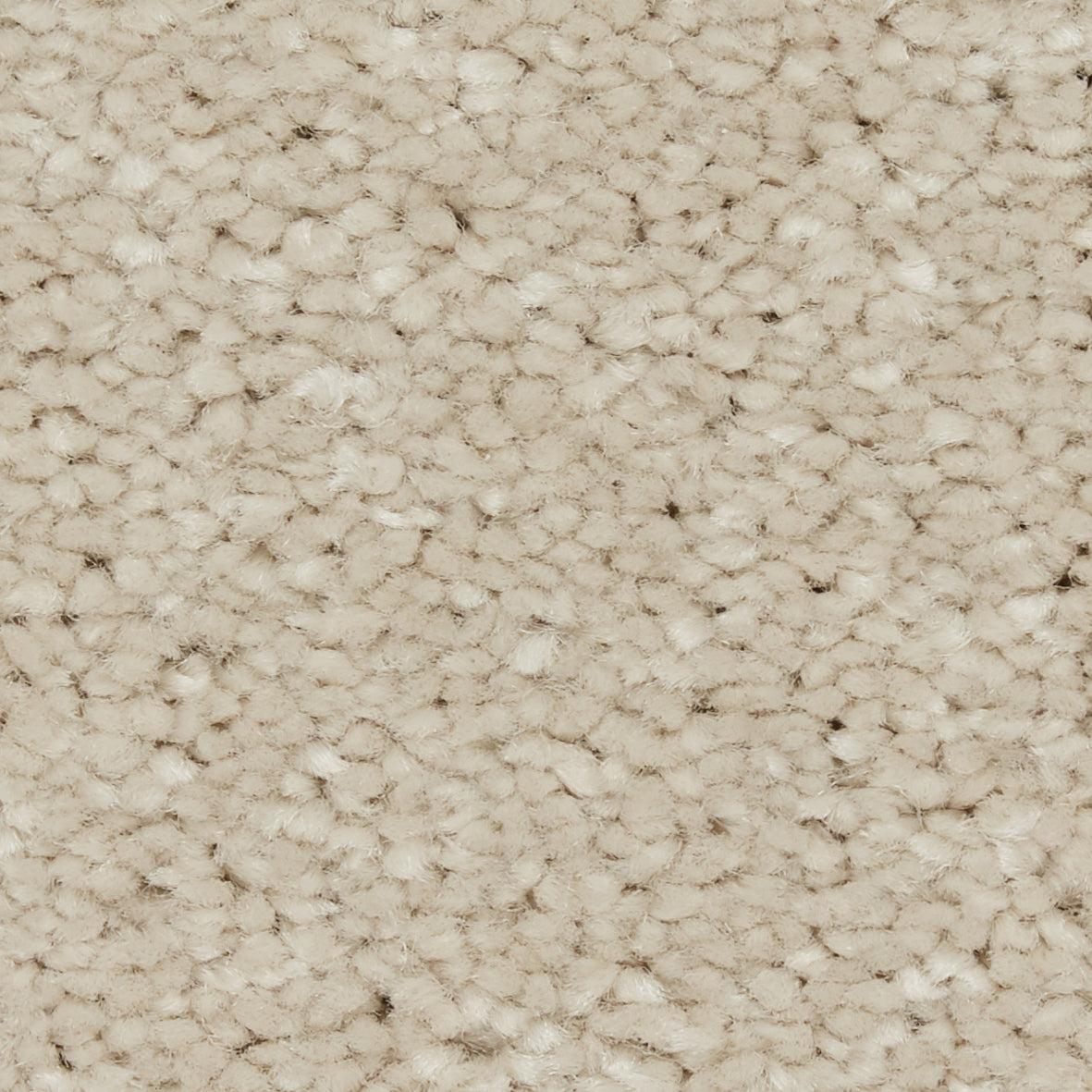 Riva SB Aniseed Carpet