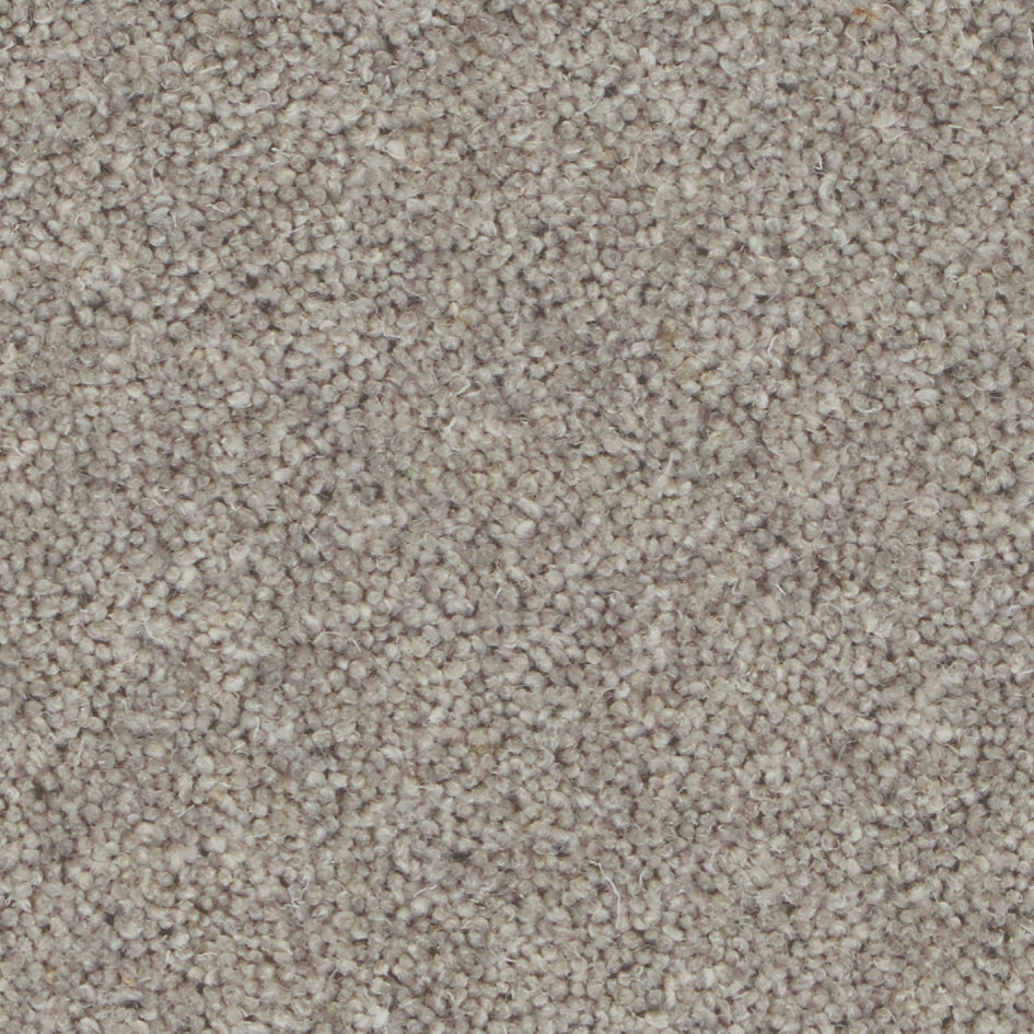 Pembroke Chrome Carpet