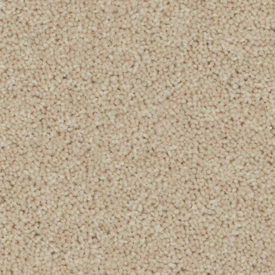 Pembroke Savannah Carpet