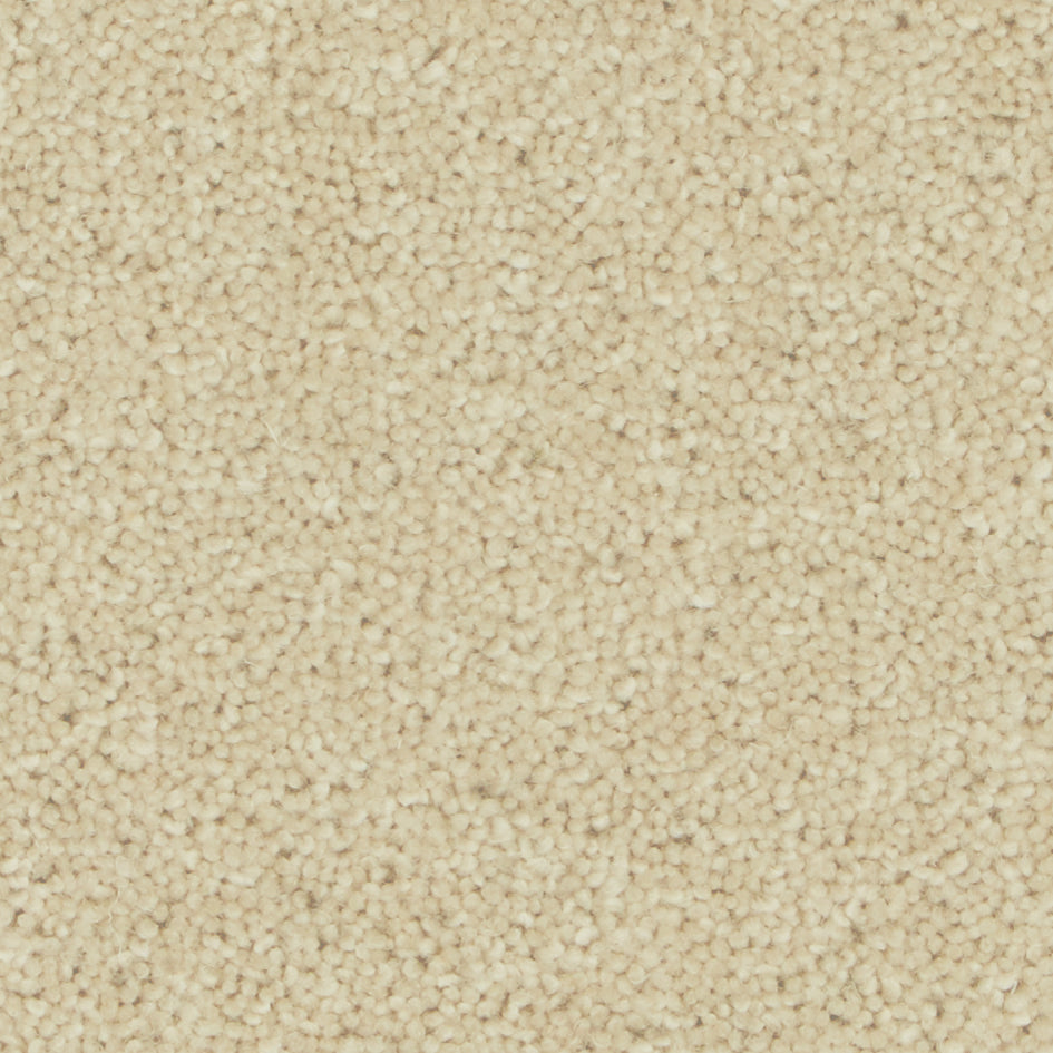 Pembroke Egyptian Cotton Carpet