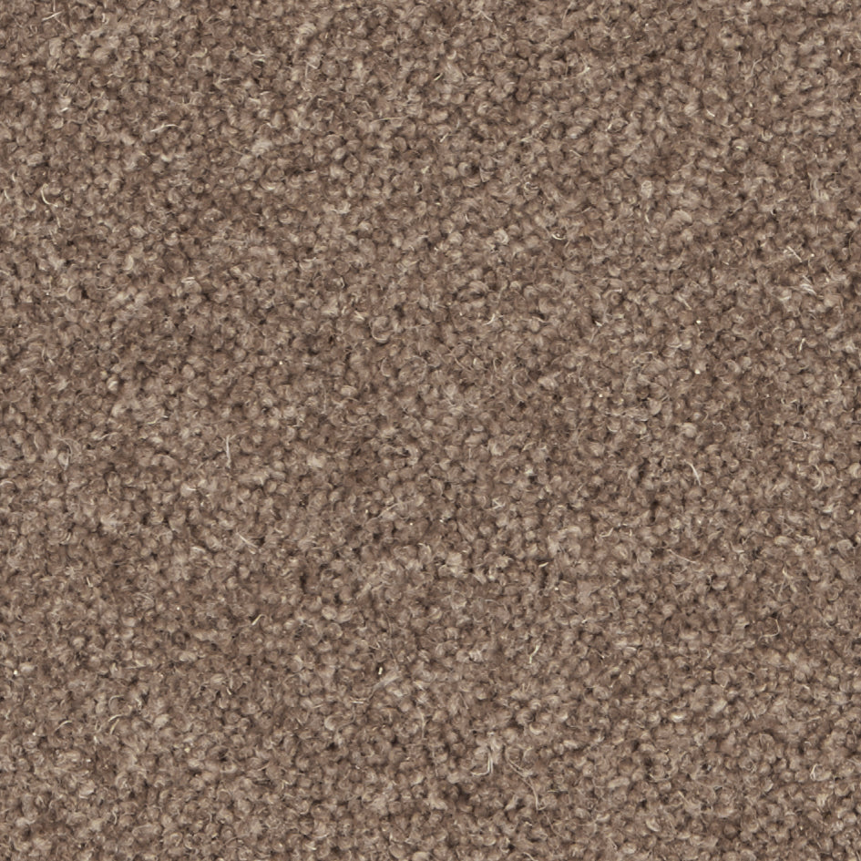 Pembroke Rosewood Carpet