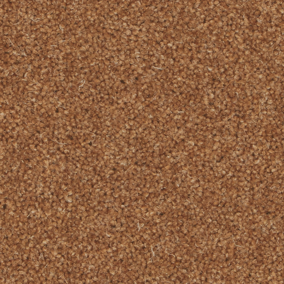 Pembroke Red Squirrel Carpet