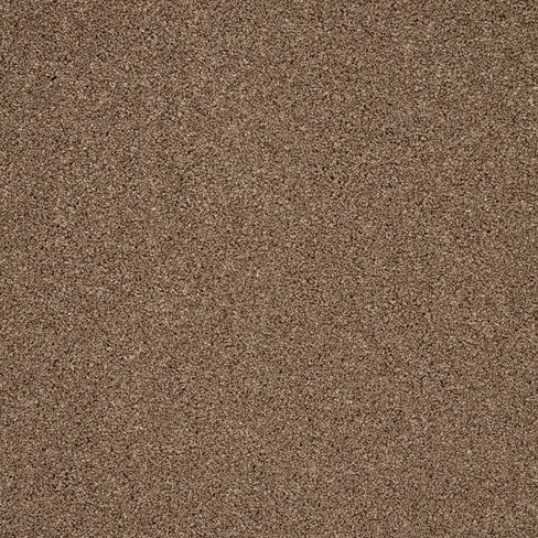 Trinity Autumn Trail Carpet