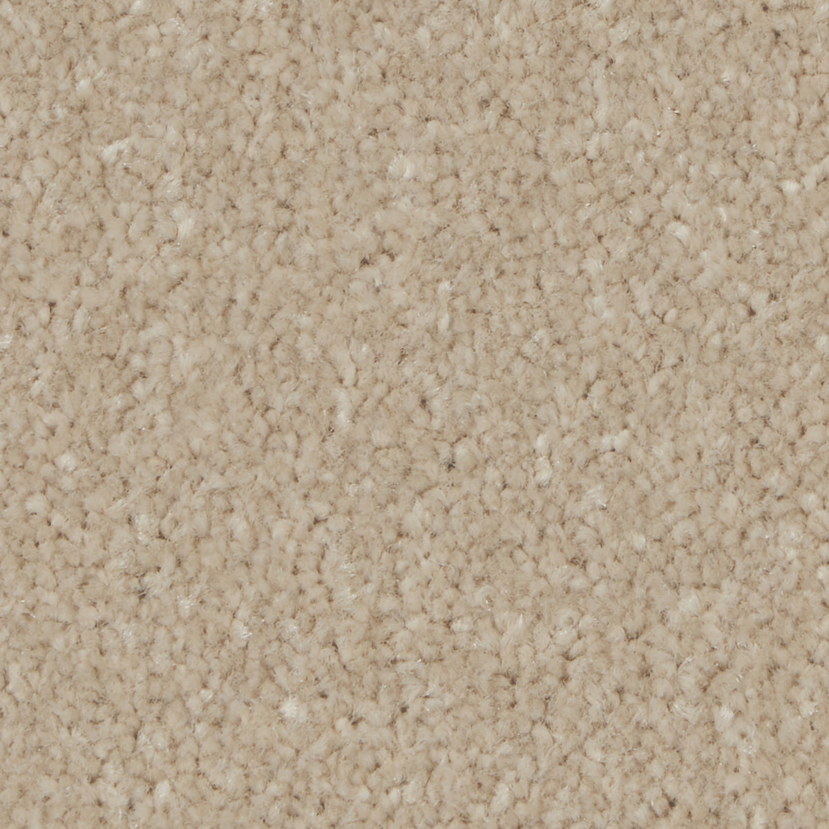 Kingston Classic Bay Light Carpet