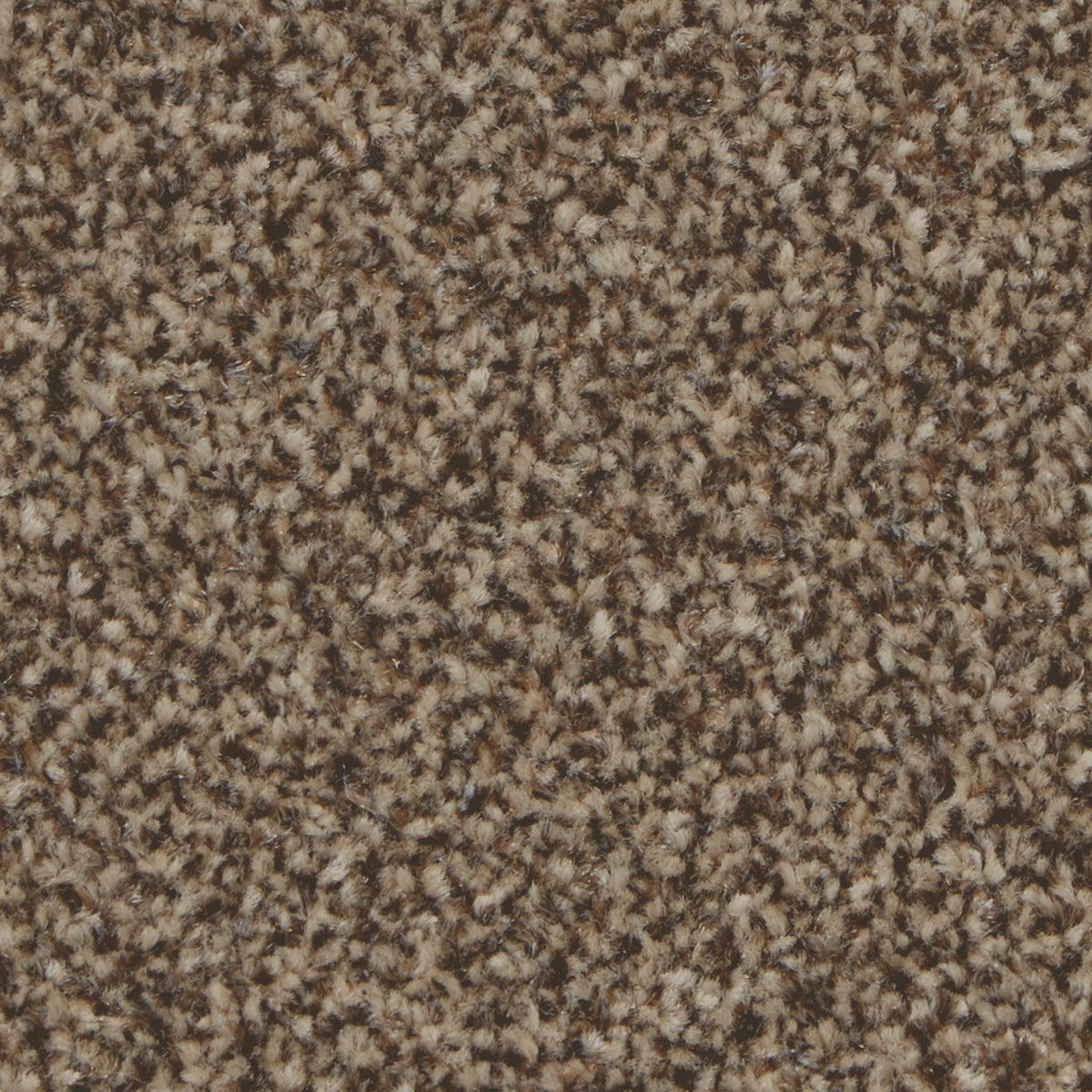 Kingston Classic Mocha Carpet