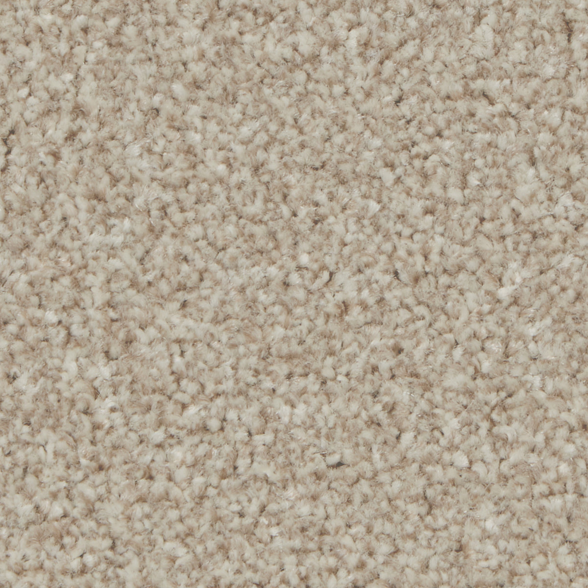 Kingston Elite Woodbrook Carpet