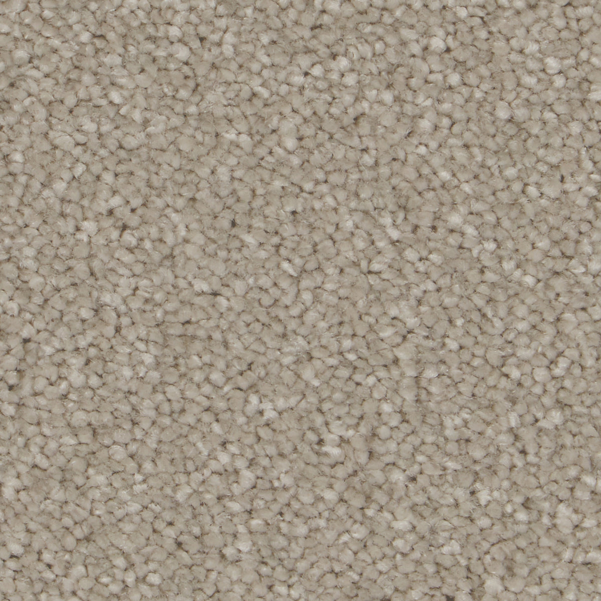 Sensation Ultimate Arctic Grey Carpet