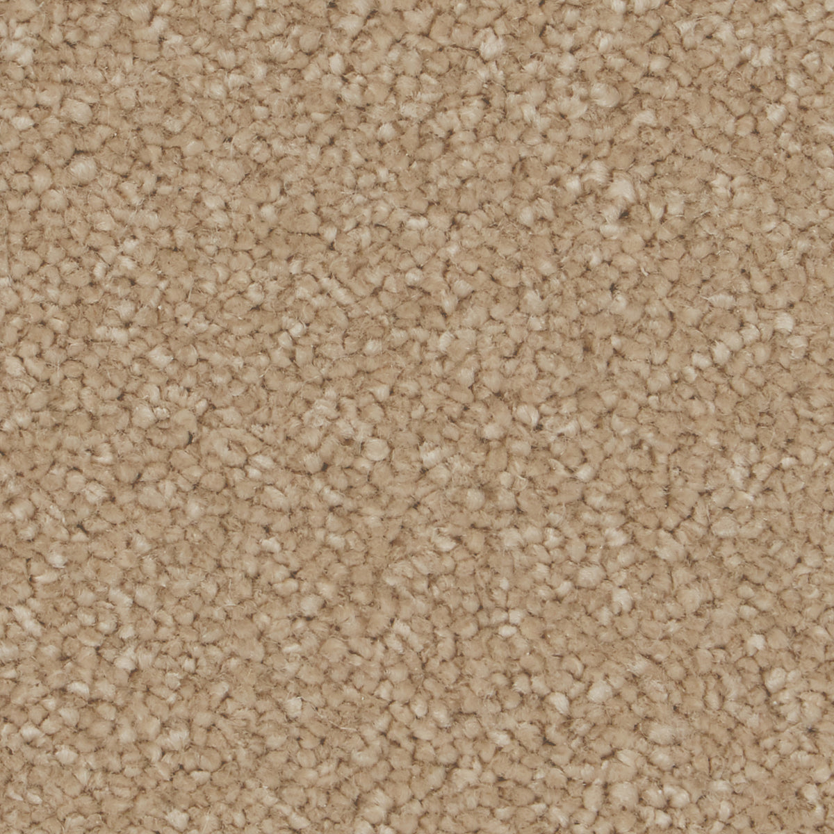 Sensation Ultimate Gazelle Carpet