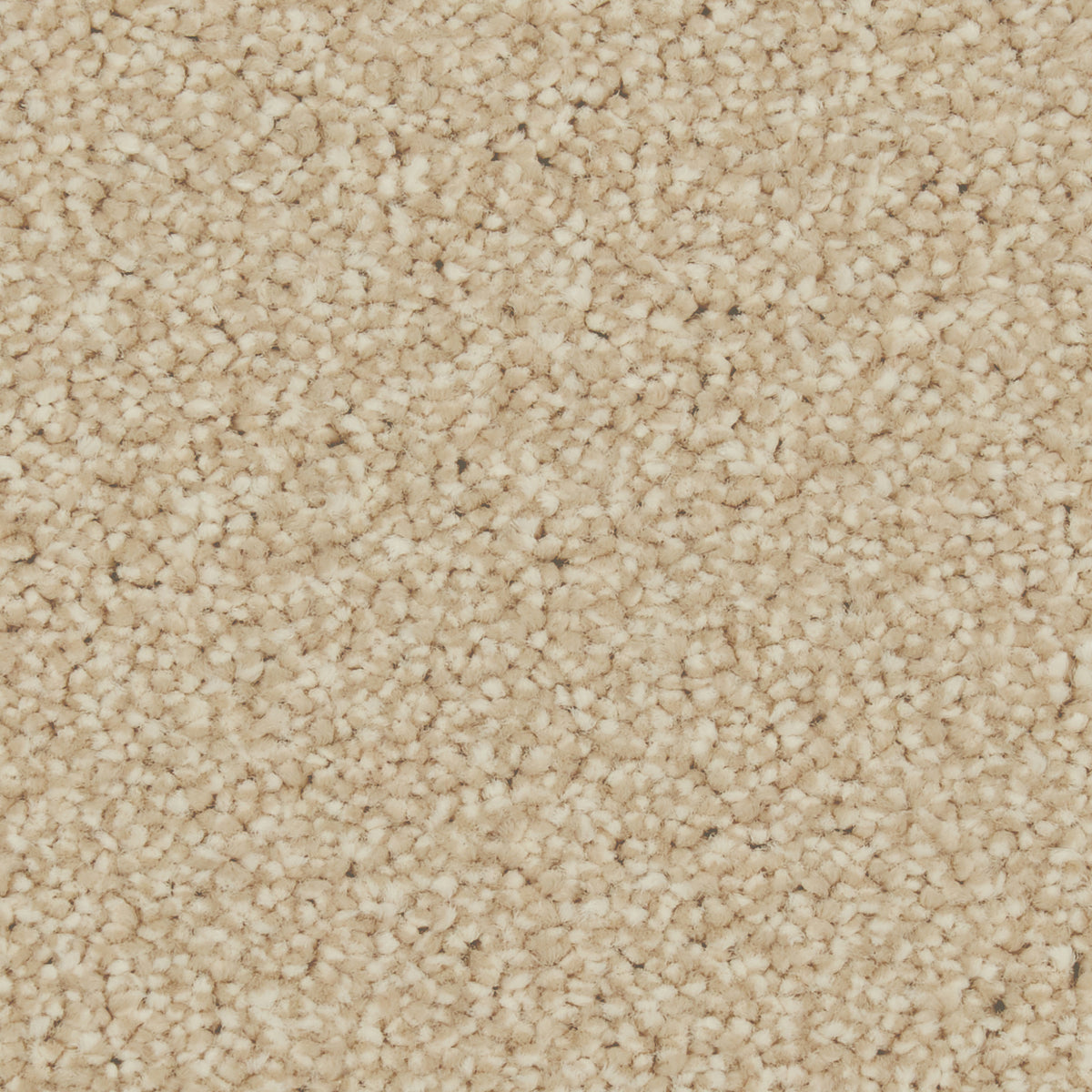 Zenith Lakeside Carpet