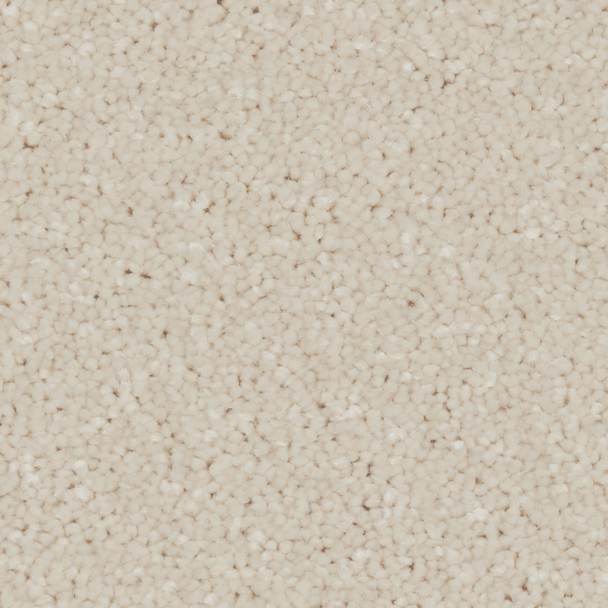 Zenith Chalk White Carpet