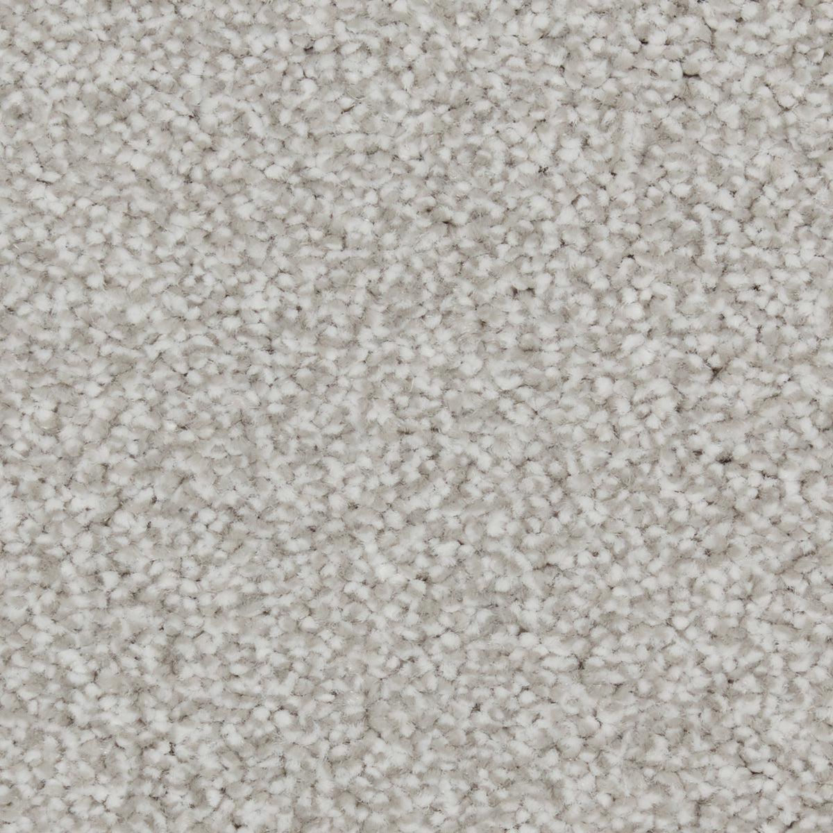 Zenith Alabaster Carpet