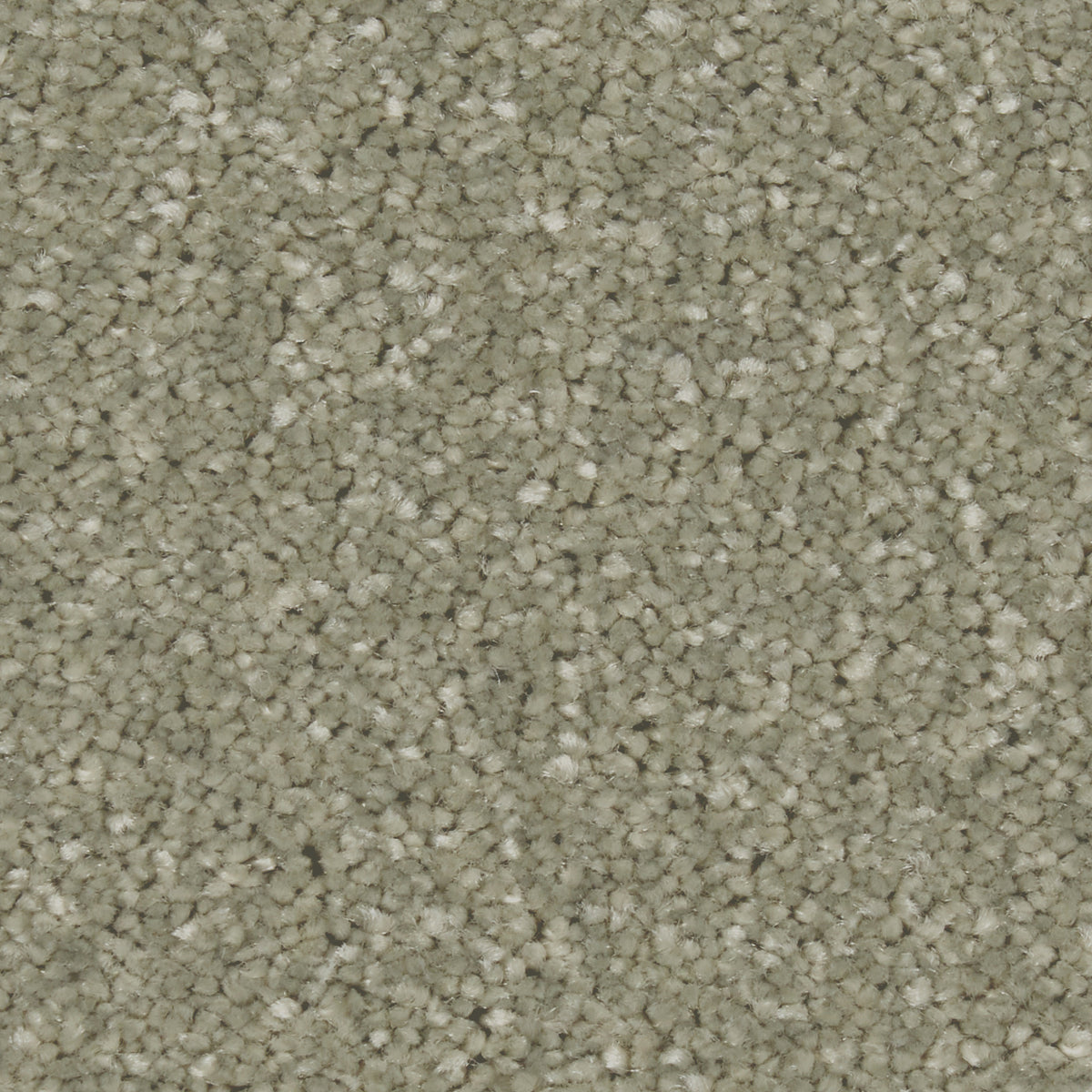 Zenith Tuscan Olive Carpet