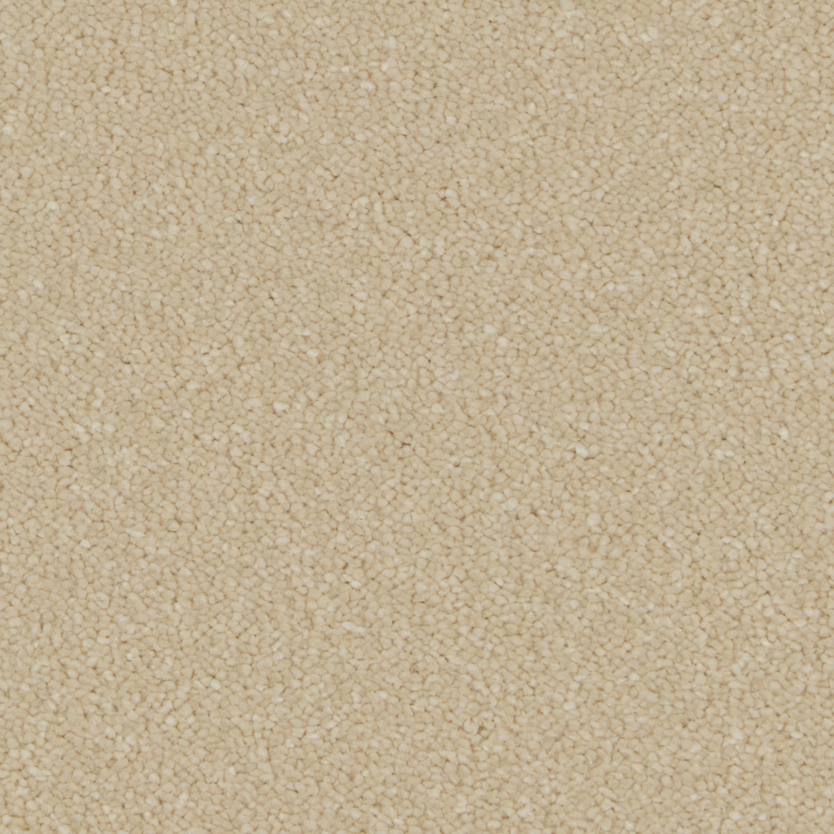 Silken Serenity Sand Dune Carpet