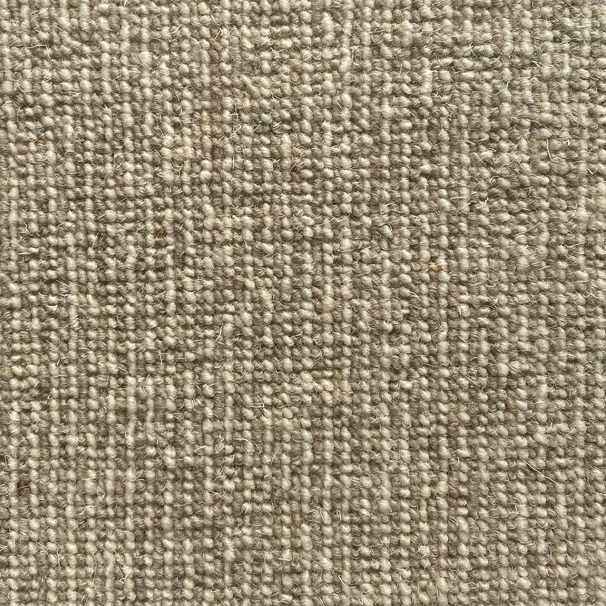 Middlemarch Tipton Carpet