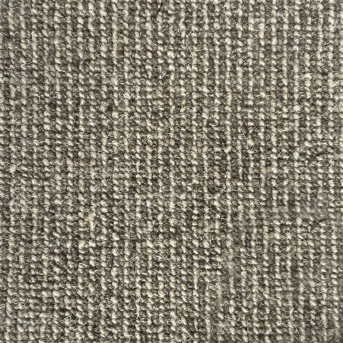 Middlemarch Ladislaw Carpet