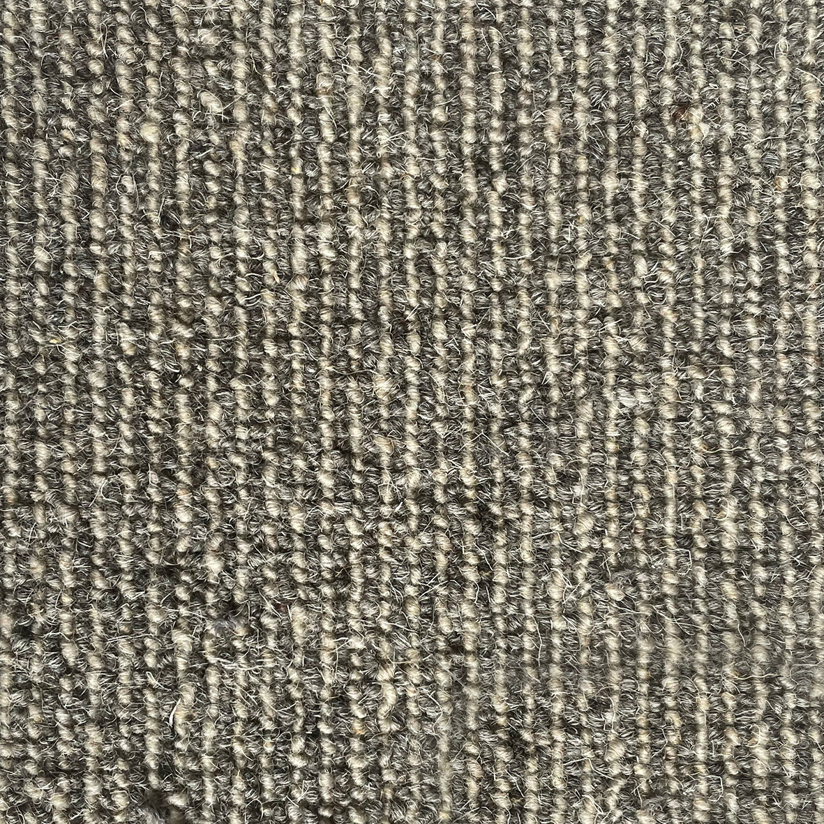 Middlemarch Stonecourt Carpet