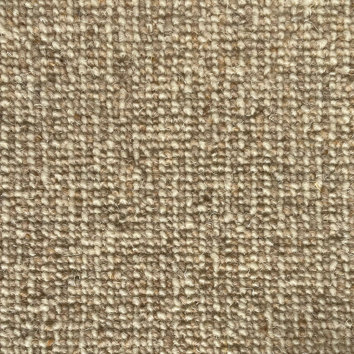 Middlemarch Kingsbere Carpet