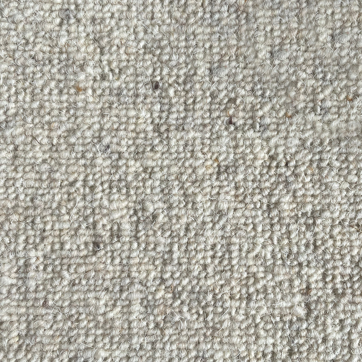 Middlemarch Bulstrode Carpet