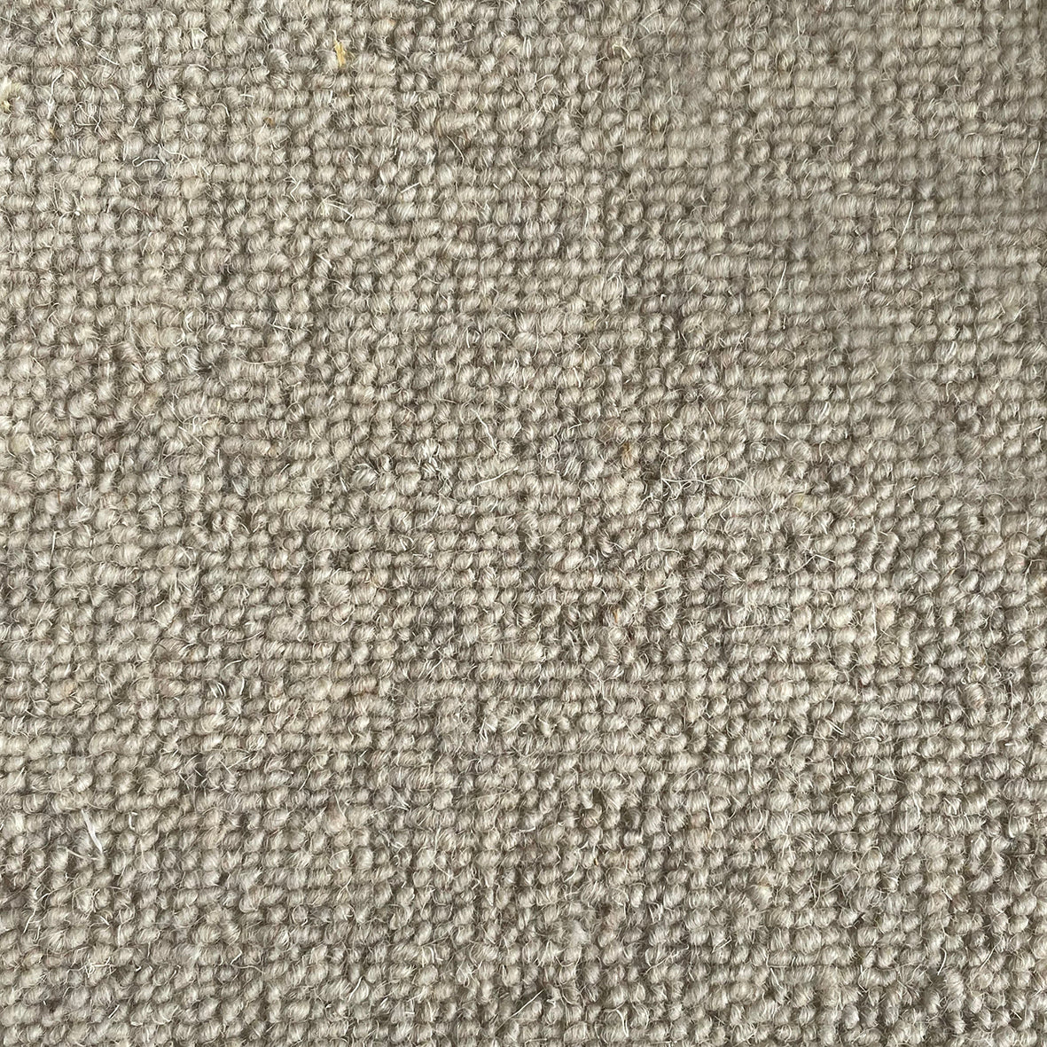 Middlemarch Bambridge Carpet