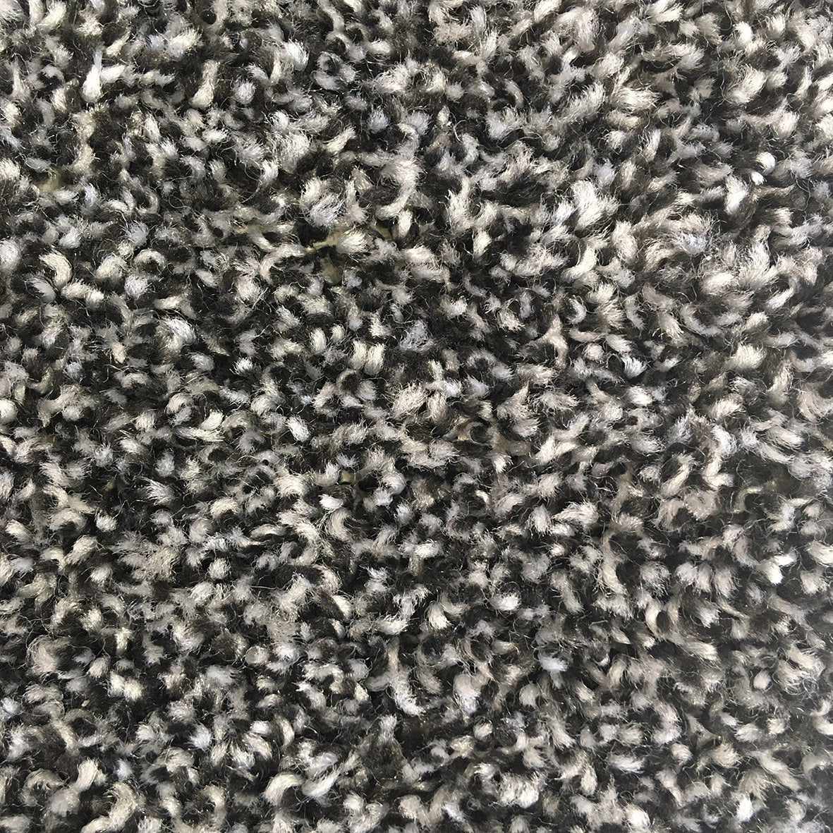 Hi Five Noir 8436 Carpet