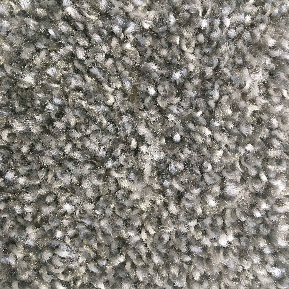 Hi Five Platinum 8435 Carpet