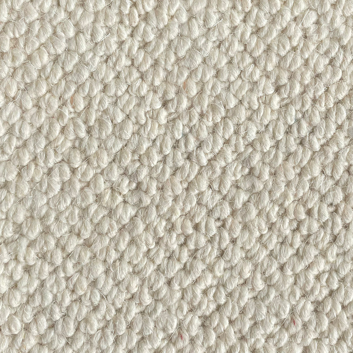Nickleby Browdie Carpet