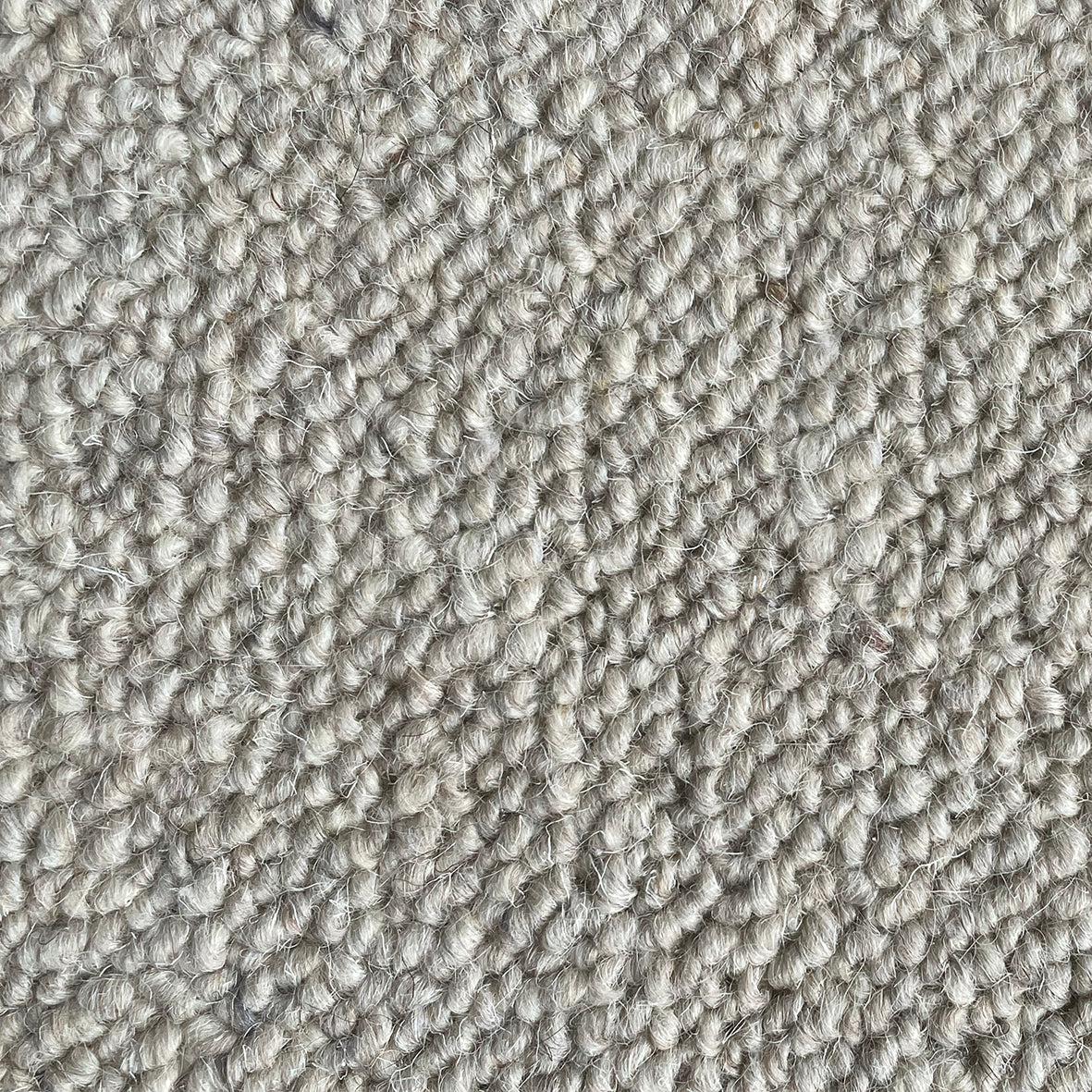 Nickleby Linkinwater Carpet