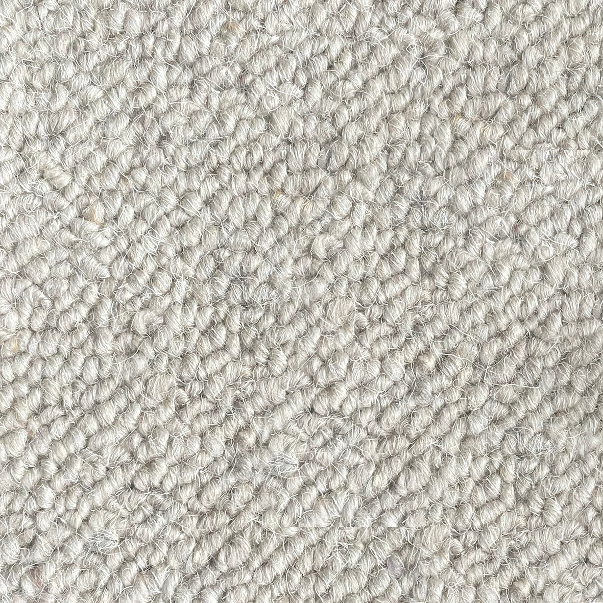 Nickleby Dotheboys Carpet