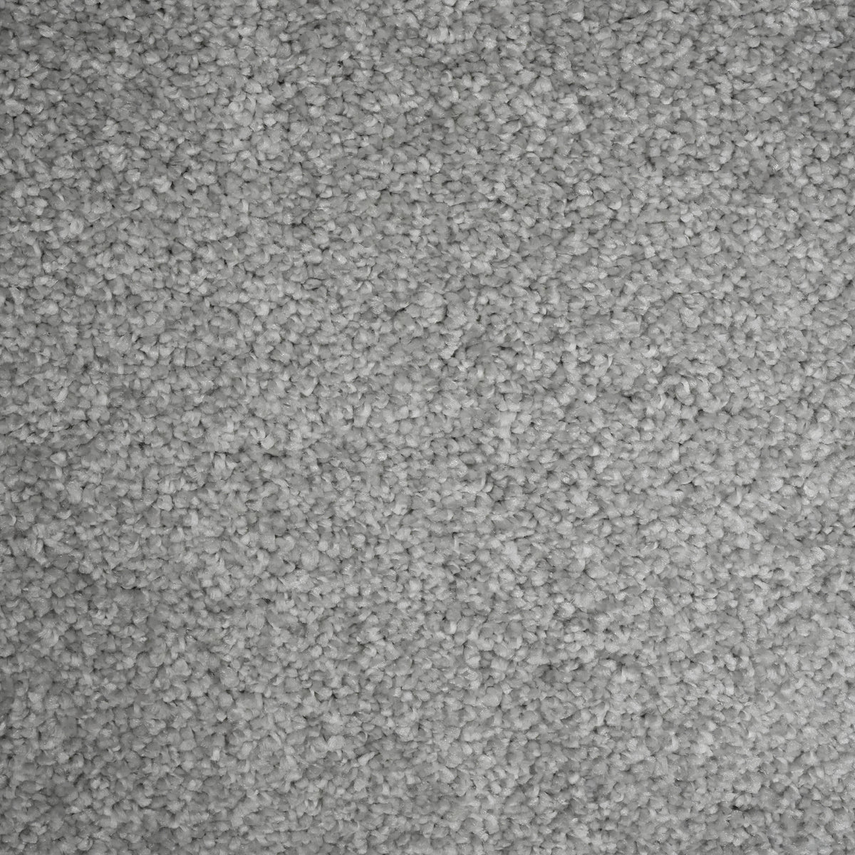Envy Silver 1010 Carpet