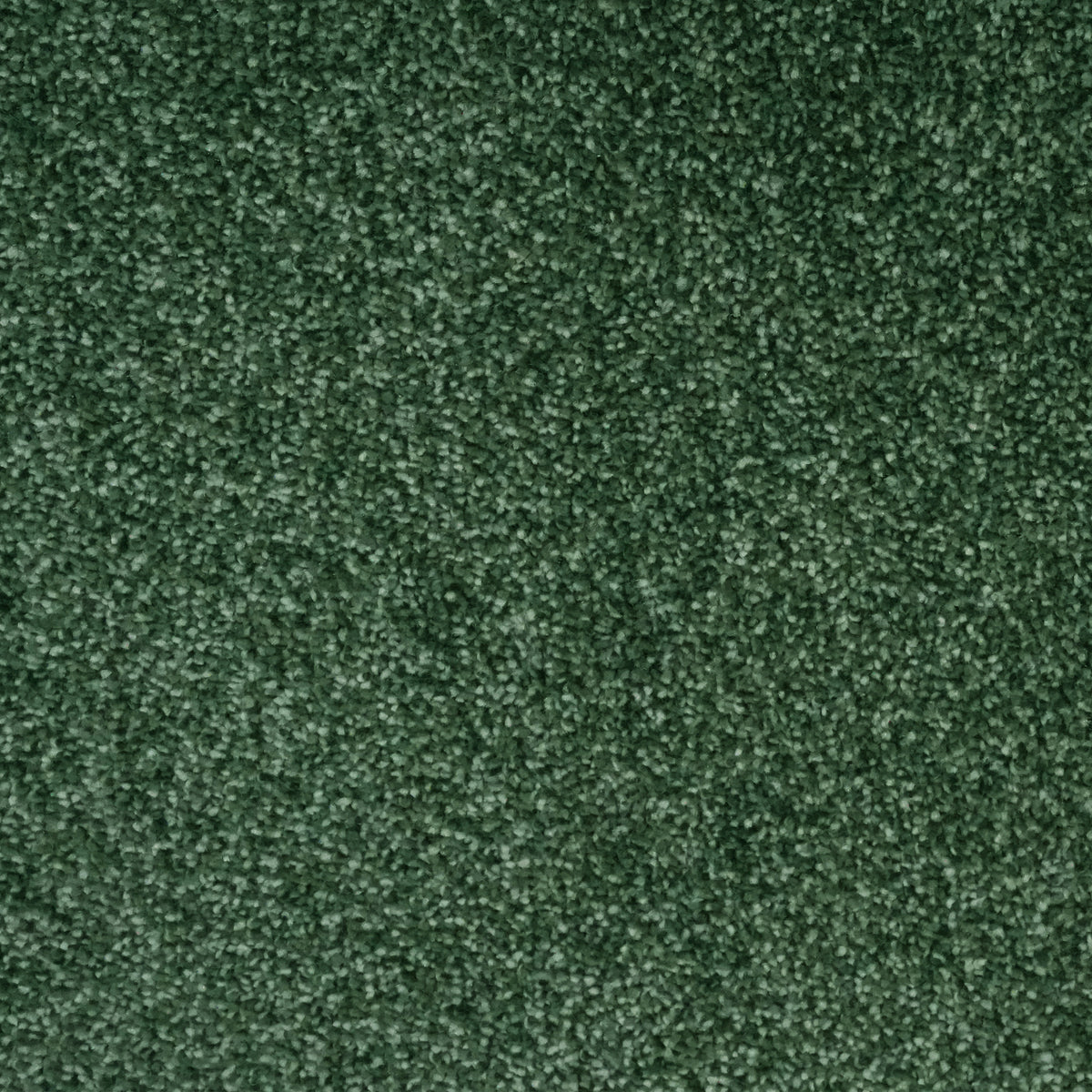 Euphora Peppermint 7621 Carpet