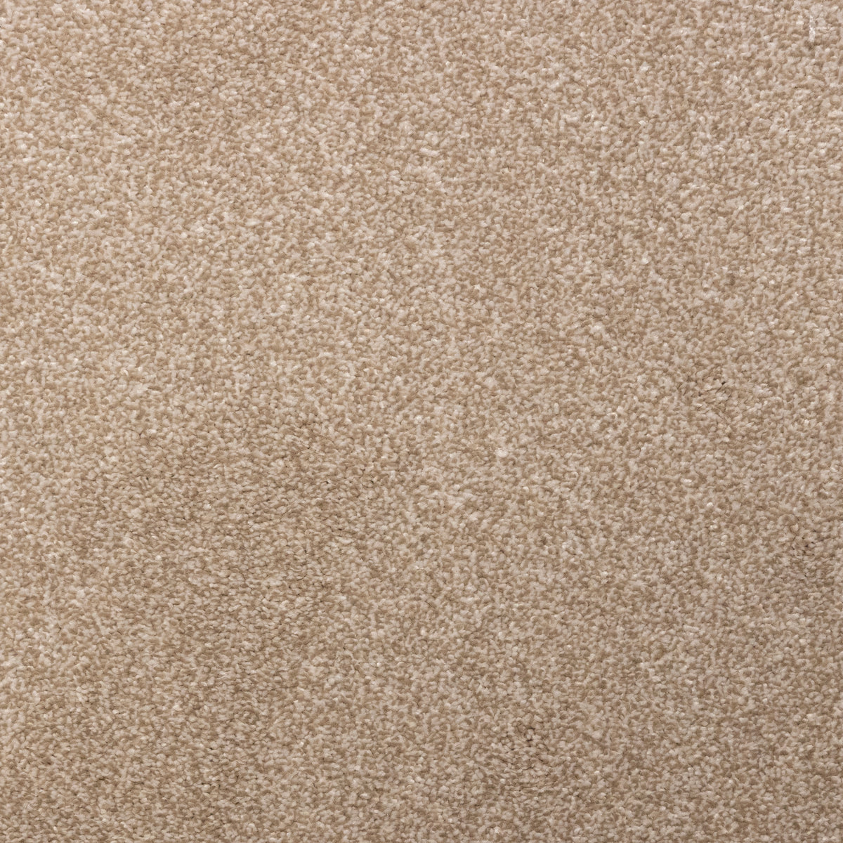 Euphora Linen 7609 Carpet