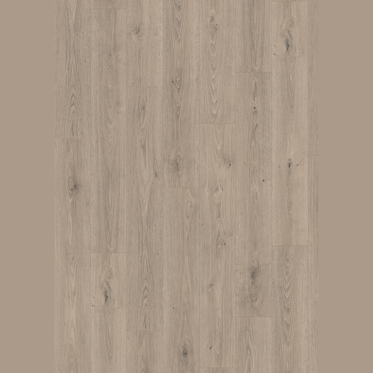 Egger Naturesense Aqua+ 32 Grey Treviso Oak EL2184 8mm Laminate Flooring
