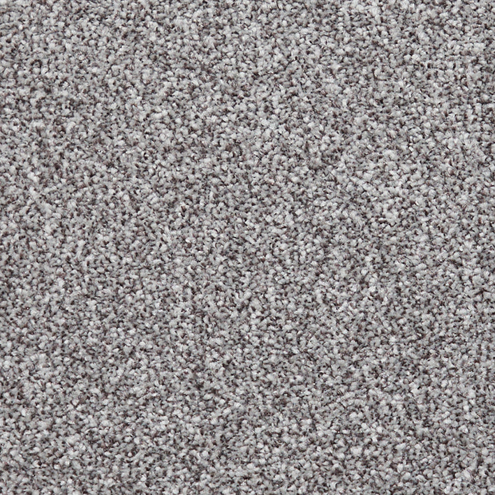 Century Plus Slate Grey 666 Carpet