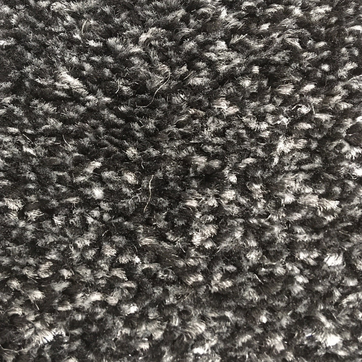 Campello Carbon 657 Carpet