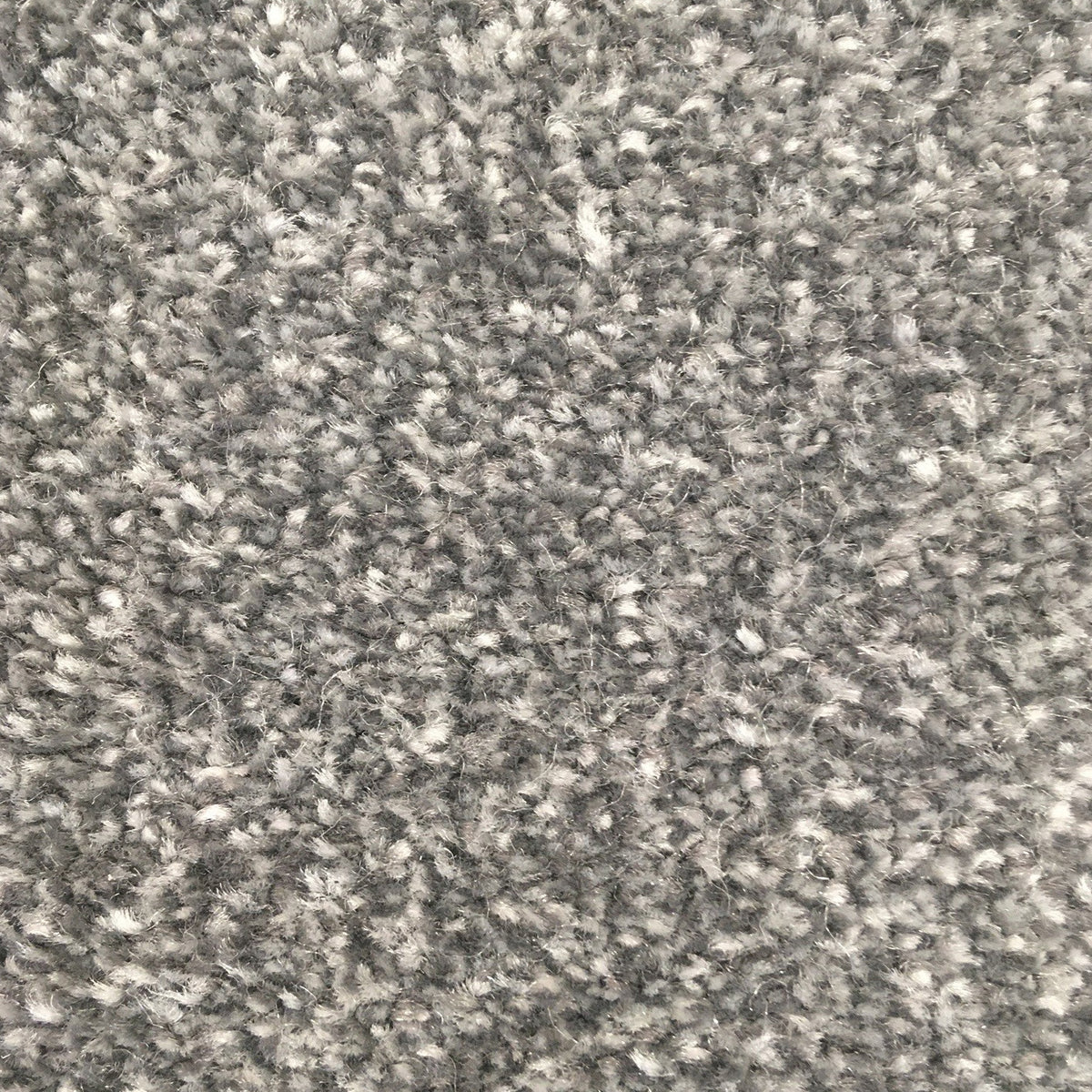 San Jose SB Platinum 583 Carpet