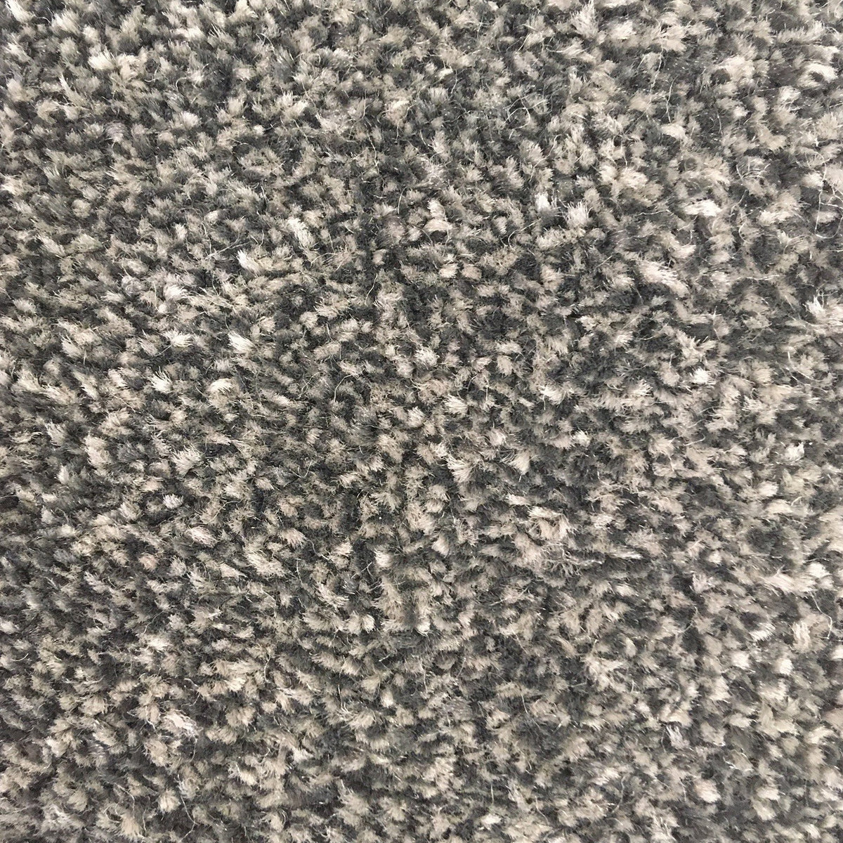 San Jose SB Pebble 585 Carpet