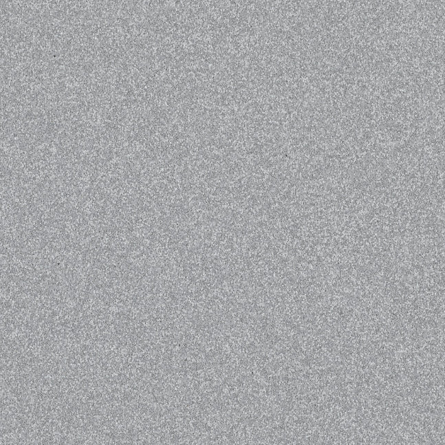 Tarasafe H20 Rhine WR2784 0033 Commercial Flooring
