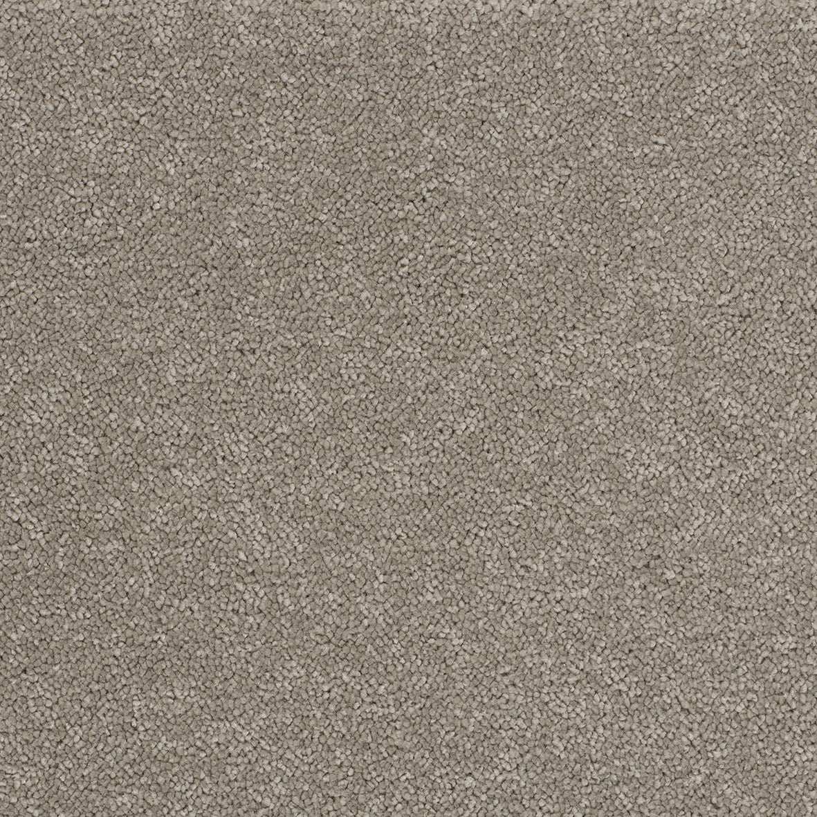 Opulent Shades Dubbonet Carpet