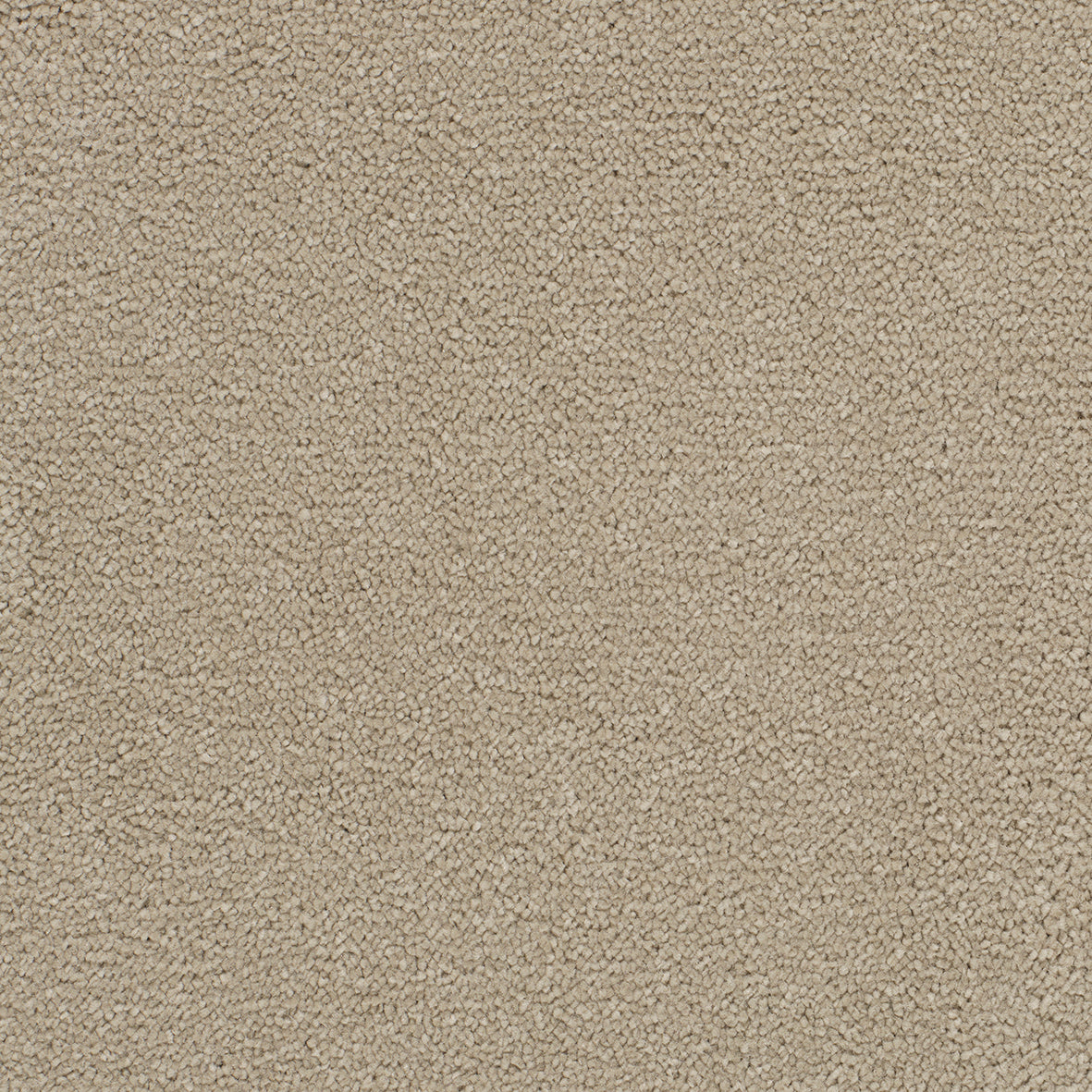 Opulent Shades Bellini Carpet