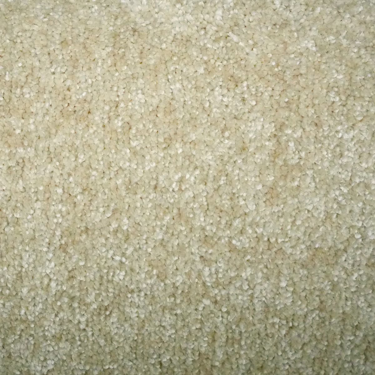 Grandeur Oatmeal 01 Carpet