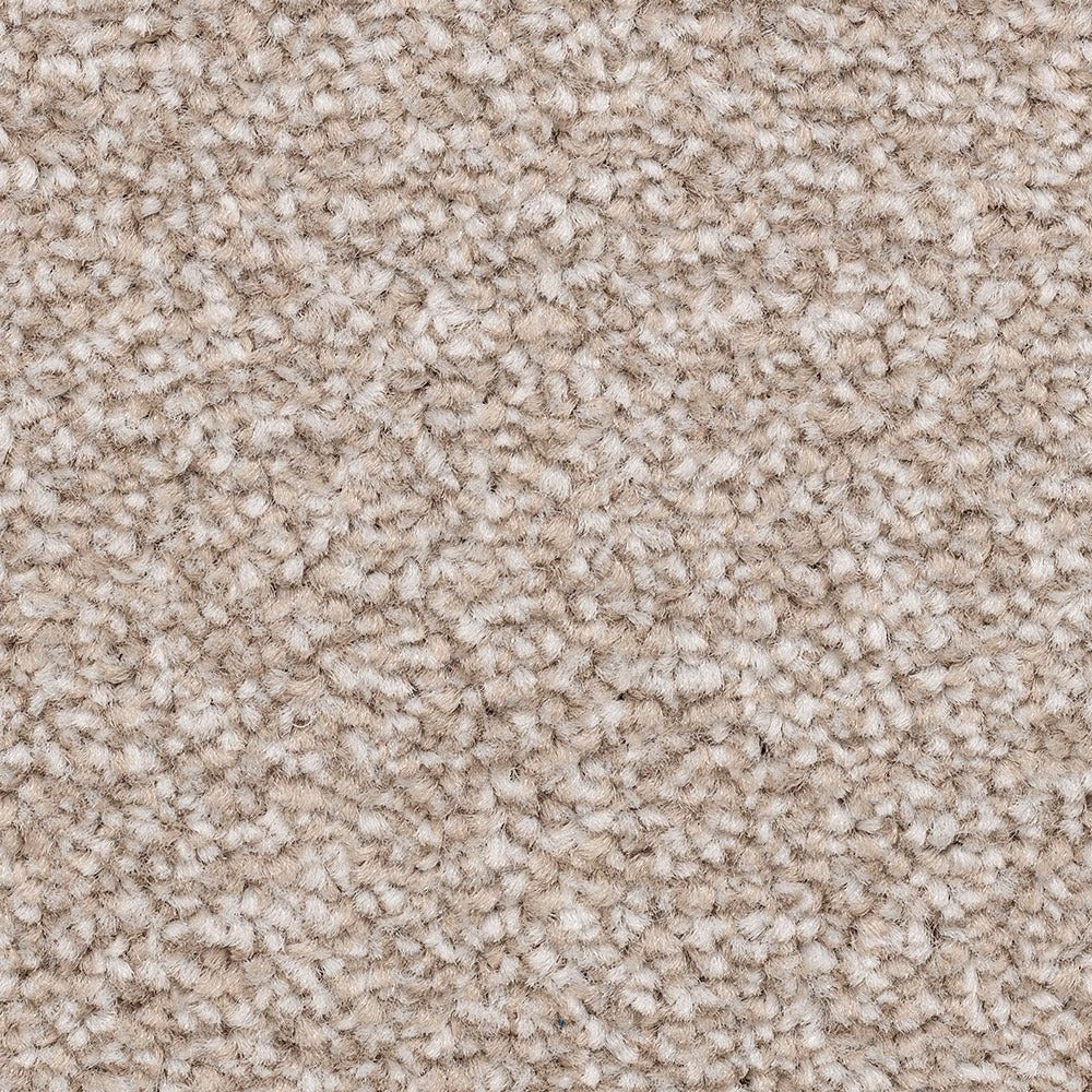 Ventnor Luxury Botanic Carpet