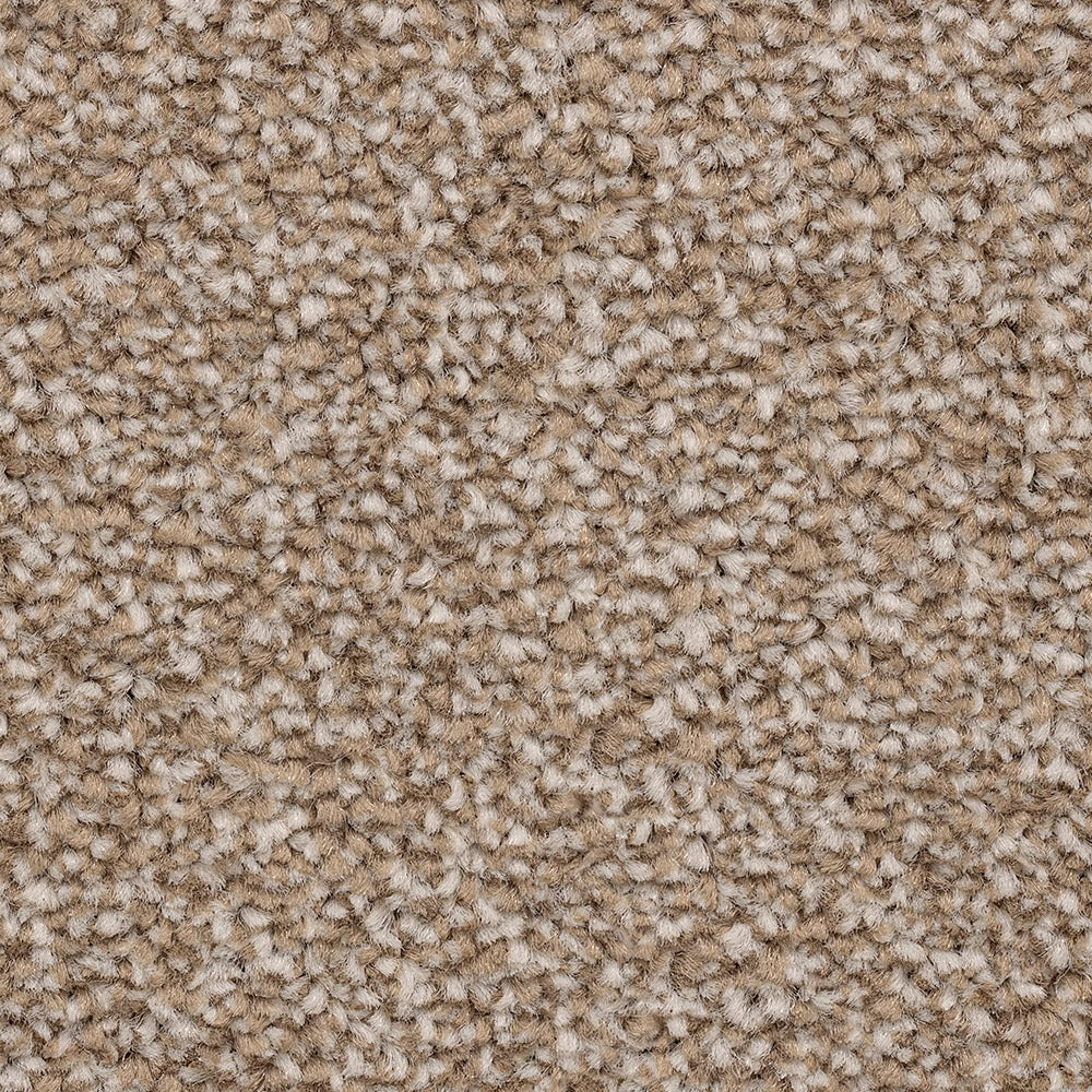Ventnor Luxury Shingle Carpet