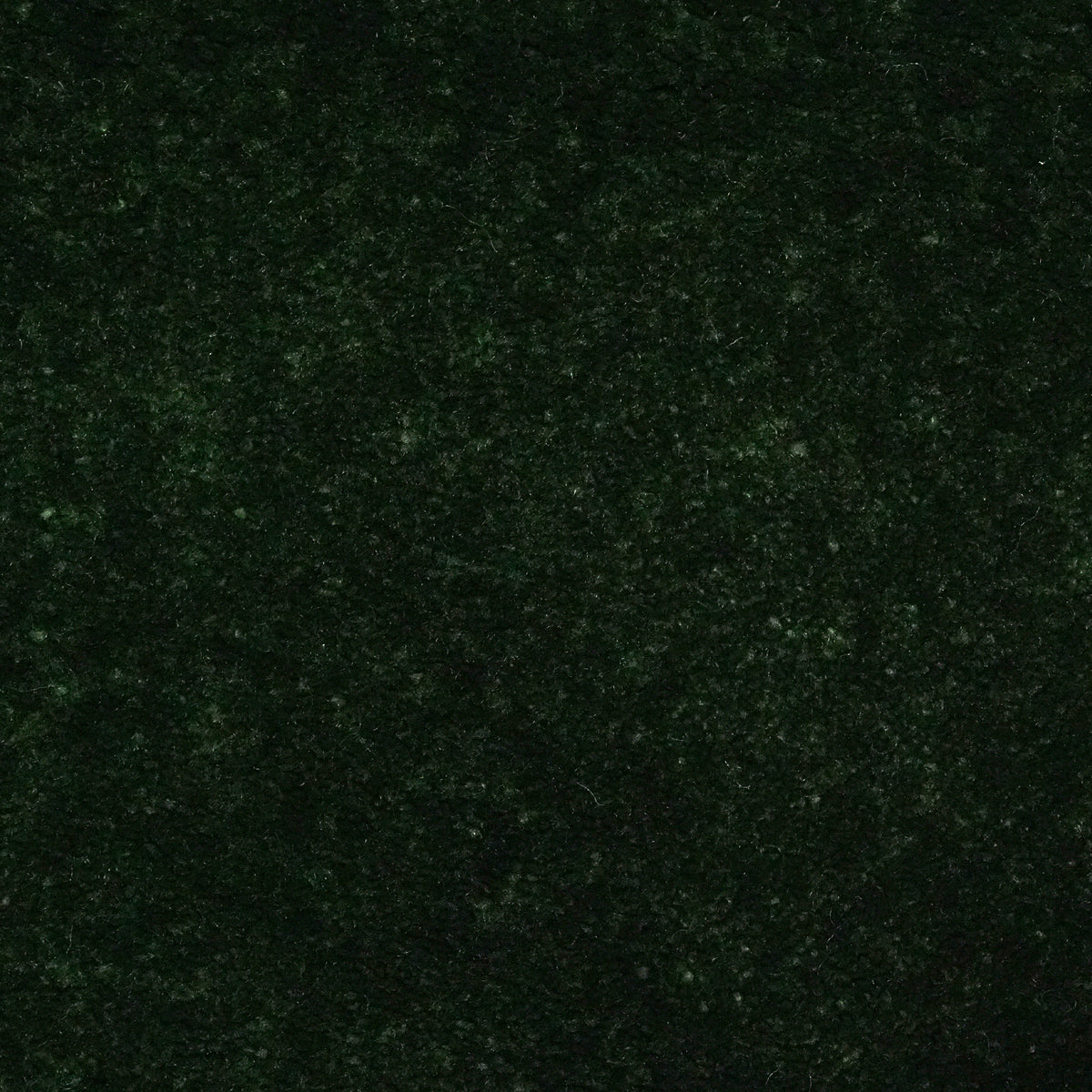 Infatuation Evergreen 527 Carpet