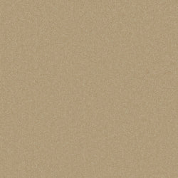 Cormar Primo Plus Muscovado Carpet