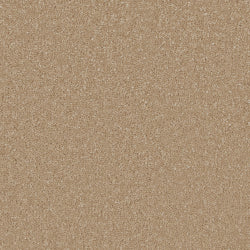 Cormar Sensation Original Gazelle Carpet