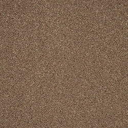 Cormar Trinity Autumn Trail Carpet