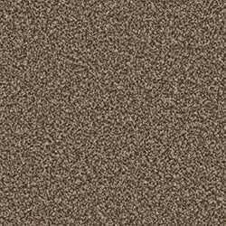 Cormar Kingston Elite Mocha Carpet