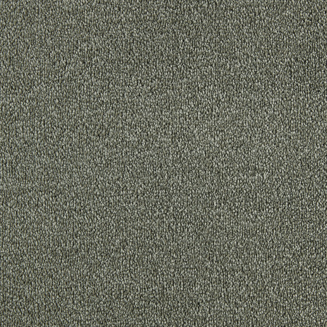Scala Style Scy 0480 Barley Carpet